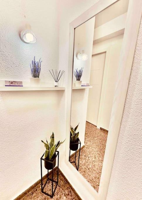 Citadella Apartment Sagunto Zewnętrze zdjęcie