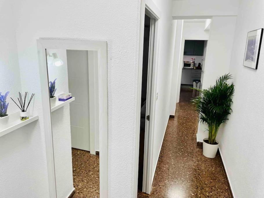 Citadella Apartment Sagunto Zewnętrze zdjęcie