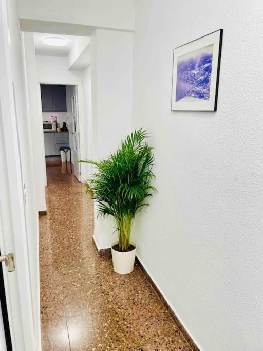 Citadella Apartment Sagunto Zewnętrze zdjęcie